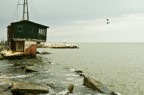 Marina di Pisa