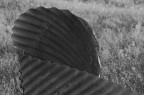 Conchiglie di latta