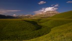 Rivergrass