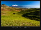 Green land
