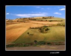 ...DALL' ALTO...