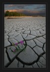 senza luce (era il mio stagno preferito)