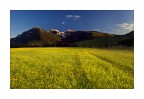 Le Tre Cime