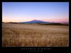 Silent Sunset
