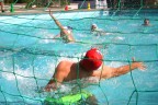 Amsterdam Waterpolo Tournament - parte 1 (M)
