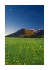 La Vedetta
