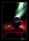 Withered and Dead