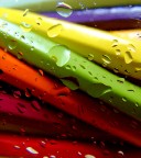 Il segreto dell'acqua (5)