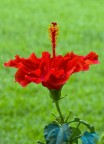 3189_t-p