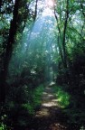 filtri di un sole che non smette di entrare nelle nostre vite