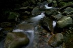 fiume
