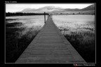 Commenti e critiche sempre ben accetti.


Sony A200 [20mm. -  F79 - 1/80] Contrastata minimanete in PW