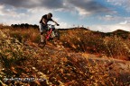 freeride