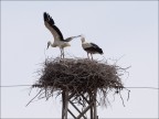 prove di volo 2