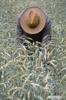 Contadino nel campo