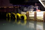 il pescatore per tutta l'esposizione non si e' mosso, si vede in basso il galegggiante luminoso il movimento che ha creato