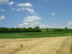 Giugno