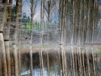 Gioco d'acqua