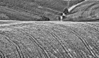 Campagna Toscana