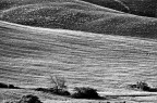Paesaggi toscani