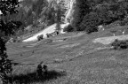 I due campi...