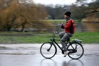 Foto in panning a 1/60, f4,5, 50mm, scattata nel Vondelpark ad Amsterdam.