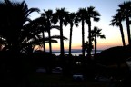 Tropici