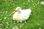 f8
1/100
200mm
ISO400