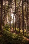Natura