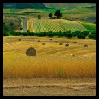 campagne lucane