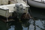 Ma lo sapranno alla Honda che il loro 40 HP  ecologico ?
Porto turistico di Gravedona - Lago di Como