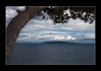 isola del giglio
