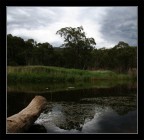 Landskape 1
