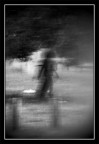 Aborigen Shadow