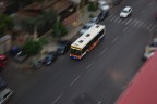 fermata bus
