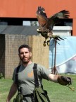 Falconiere