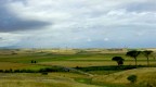 parco eolico pugliese: bello o brutto a secondo del gusto, ma almeno non producono scorie nucleari ma energia PULITA.