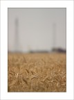 st