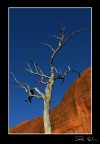 CANON EOS 300d 28-70 2.8L
28mm 1/640 f9 ISO200