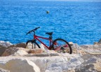 Bici