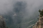 lontano tra la bruma