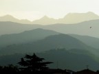 alla sera 2