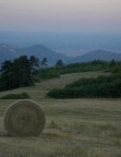 Sullo sfondo si intravede (molto sbiadita) la citt con la cupola del Brunelleschi