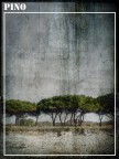 PINO