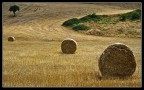 lucania mia