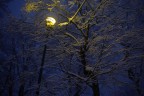 Titolo: Notturno innevato
Autore: Daniele Mancin

Fotocamera: PENTAX K200D
Obiettivo: smc PENTAX 1855mm f/3,55,6 AL II

Luogo: Piazza della Vittoria, Pecetto Torinese (TO) - Colle della Maddalena
Data/Ora: 02/02/2009 18:51

-----------------------------------------------------------------------------------------

Suggerimenti e critiche sempre ben accetti.