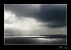 CANON EOS D 28-70 2.8L
60mm F11 1/1000 ISO 200
