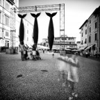 Onirico #01