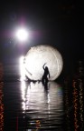 giochi di  ombre e luce nell'acqua