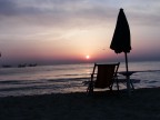 Alba solitaria